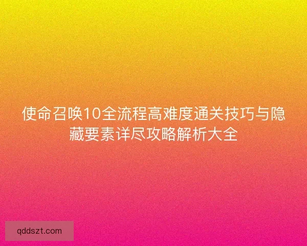 使命召唤10全流程高难度通关技巧与隐藏要素详尽攻略解析大全
