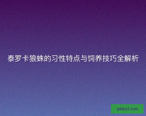 泰罗卡狼蛛的习性特点与饲养技巧全解析