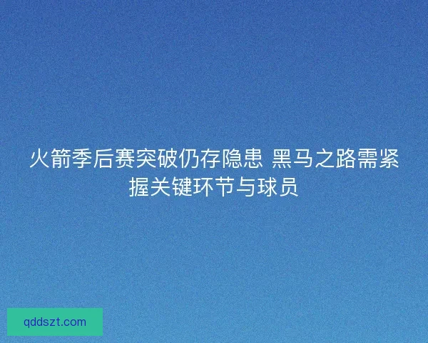 火箭季后赛突破仍存隐患 黑马之路需紧握关键环节与球员