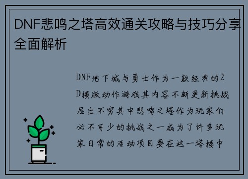 DNF悲鸣之塔高效通关攻略与技巧分享全面解析